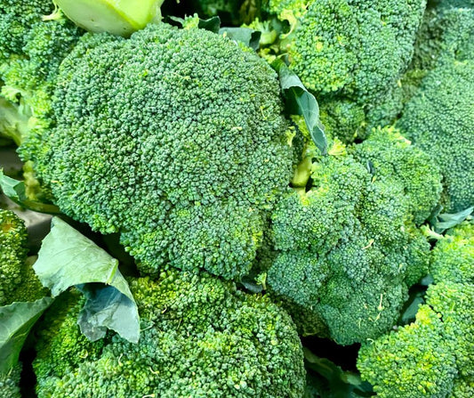 Broccoli contains a plant compound that may support blood sugar balance and help the body clear damaged cells?