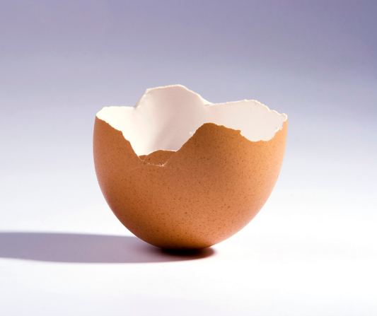 The Hidden Benefits of Eggshell Membrane