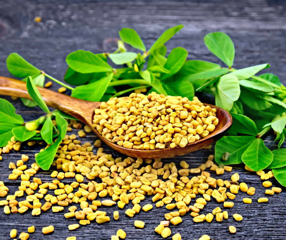 Fenugreek benefits