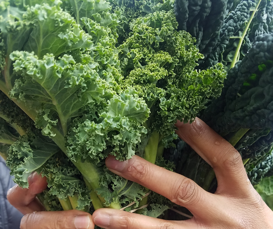Kale Benefits