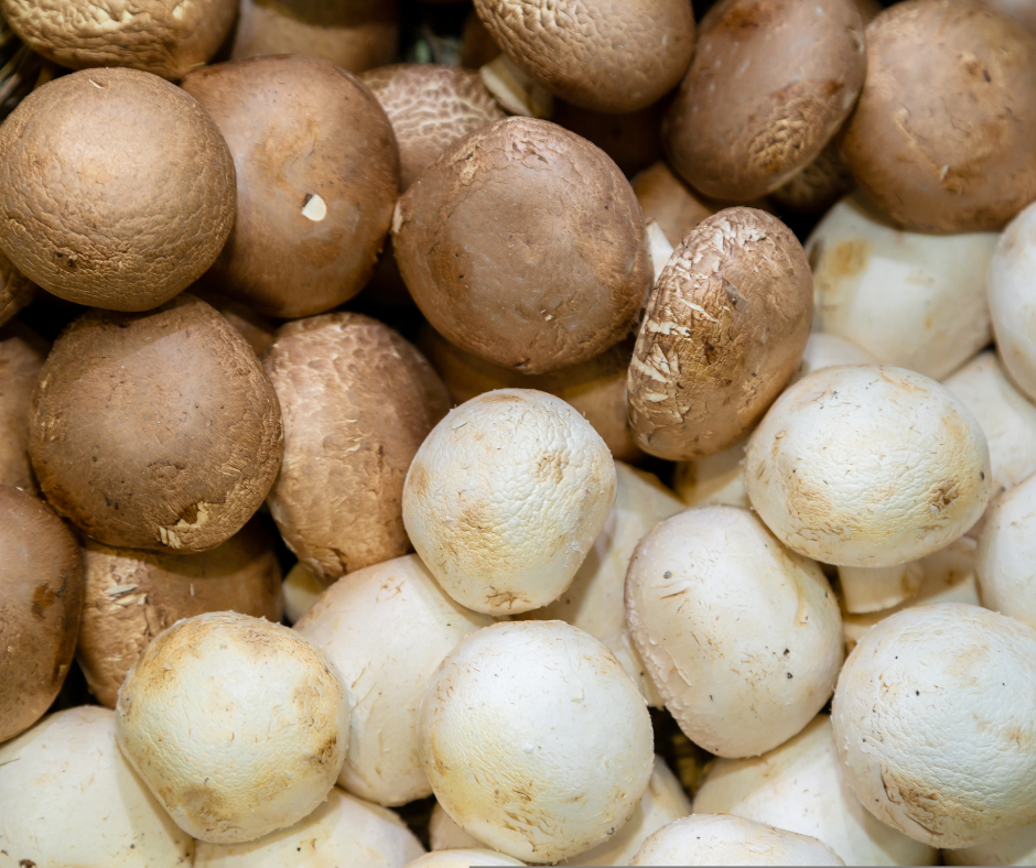 Buttom Mushroom Benefits