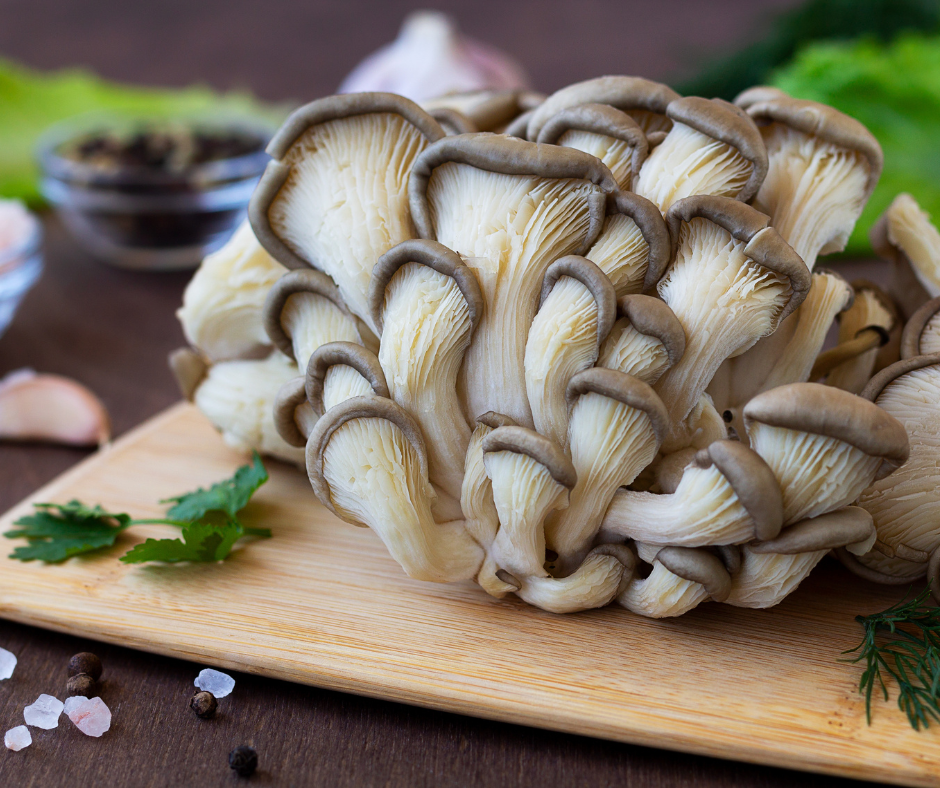 Oyster Mushroom Benefits