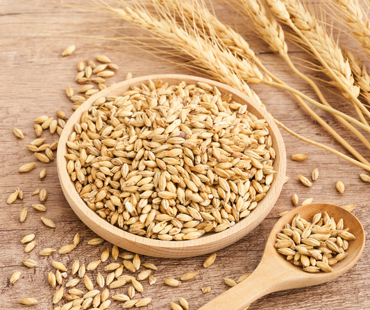 Barley Benefits