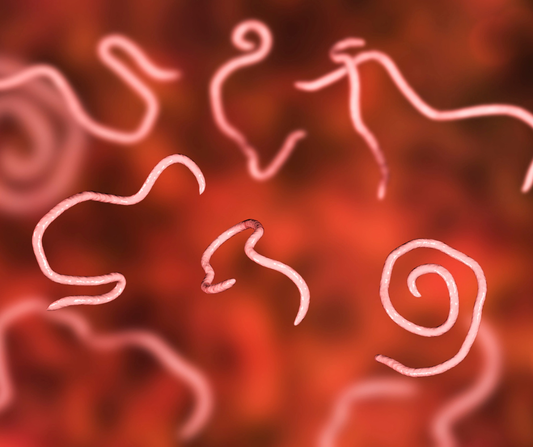 Parasites