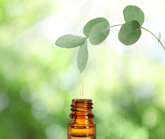 Peppermint, Eucalyptus & Frankincense Essential Oil 10ml