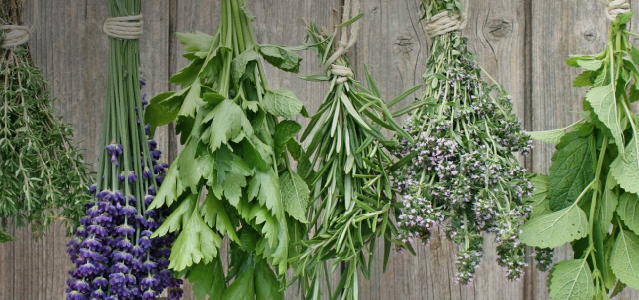 The Herbalists 2021 Limited