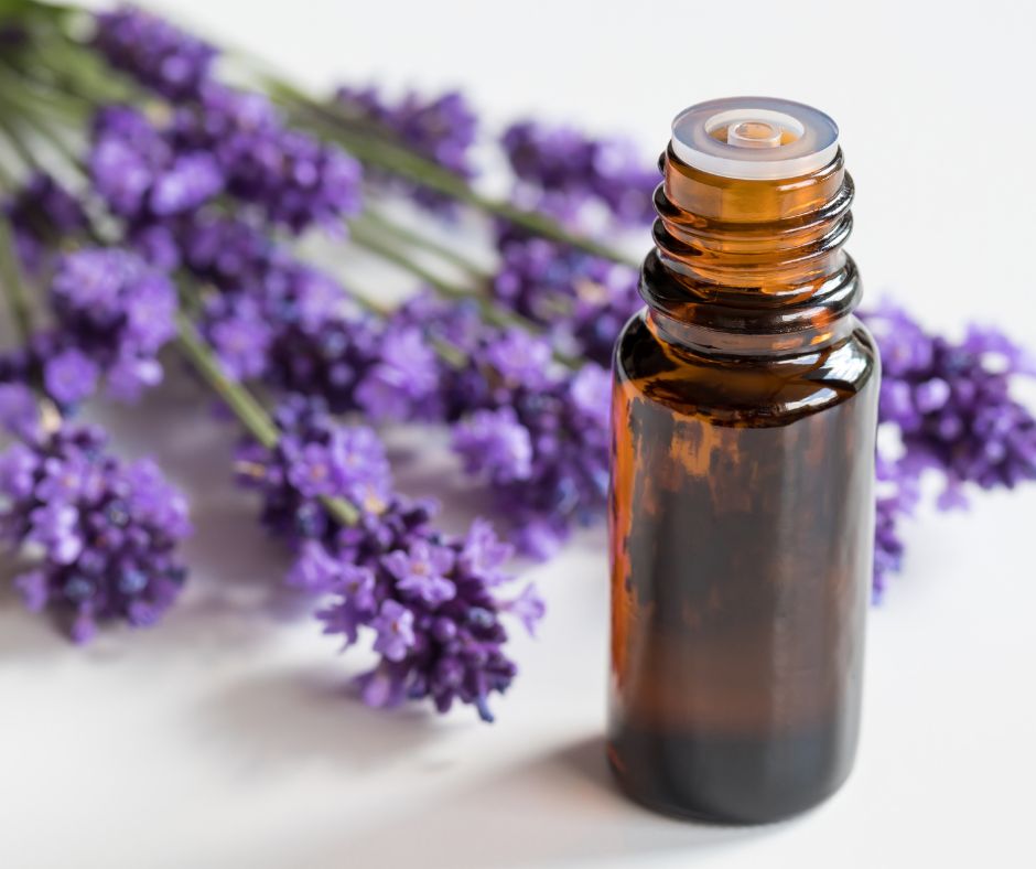 Cedarwood & Lavender Calming Pet Essential Oil (Pet calming) 10ml
