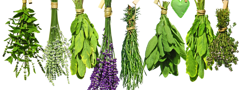 The Herbalists 2021 Limited